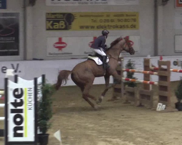 Reitturnier Borken 2019