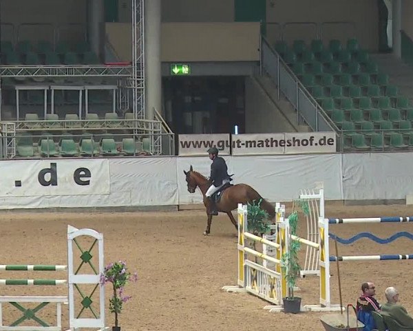 Reitturnier Kreuth/Opf. 2019