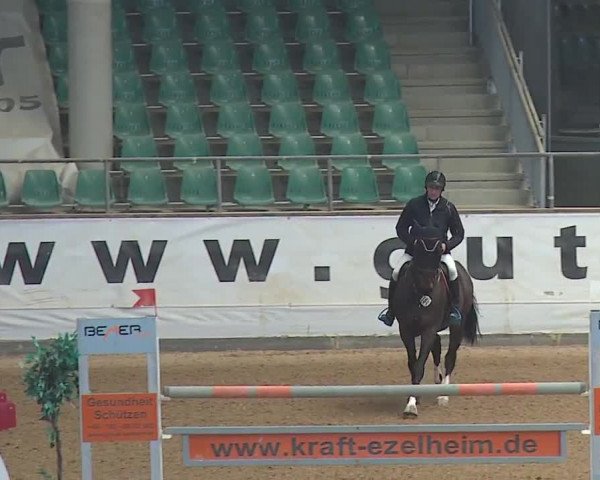 Reitturnier Kreuth/Opf. 2019