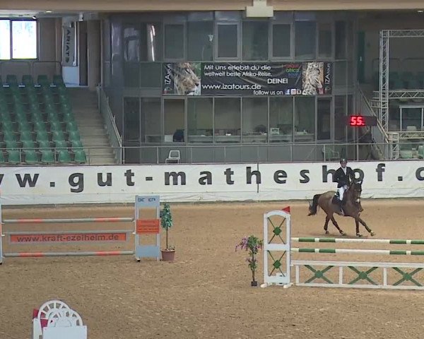 Reitturnier Kreuth/Opf. 2019
