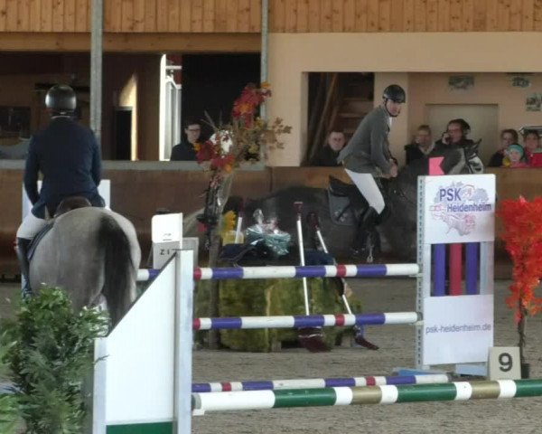 Reitturnier Dettingen 2019
