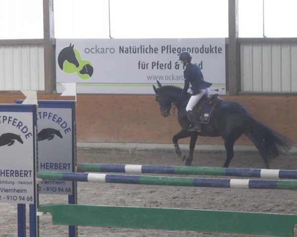 Reitturnier Viernheim 2019
