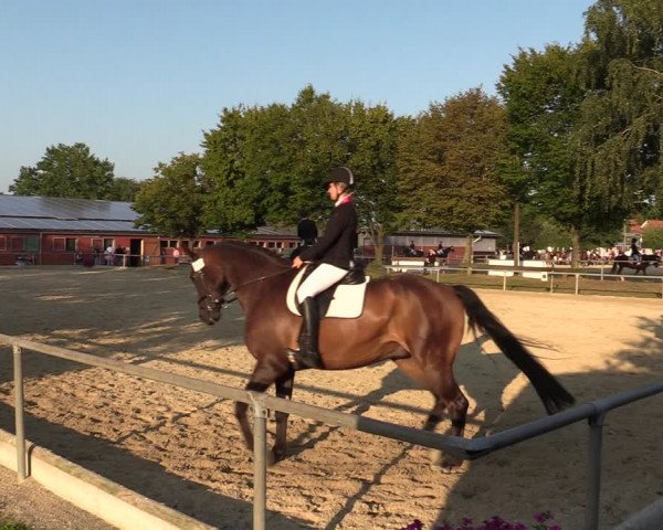 Reitturnier Ascheberg 2021