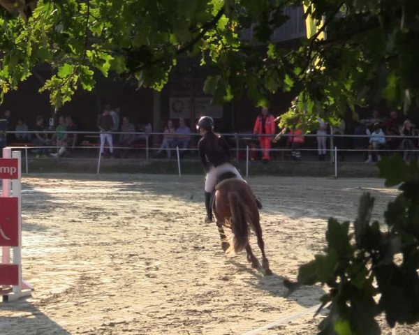 Reitturnier Ascheberg 2021