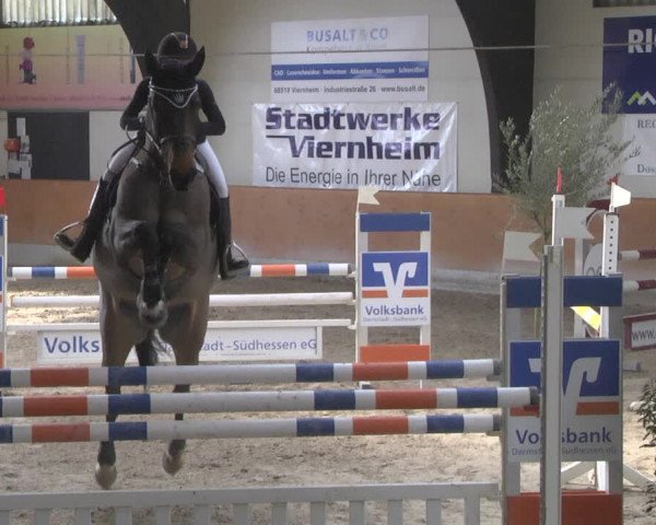 Reitturnier Viernheim 2019