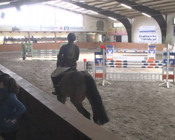 Reitturnier Viernheim 2019