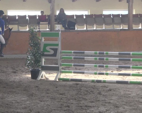 Reitturnier Viernheim 2019