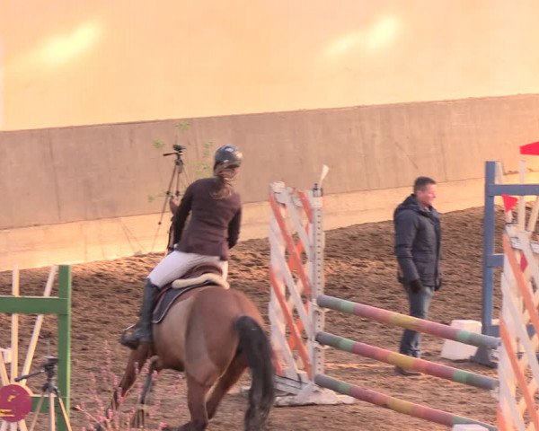 Reitturnier Dallgow 2019