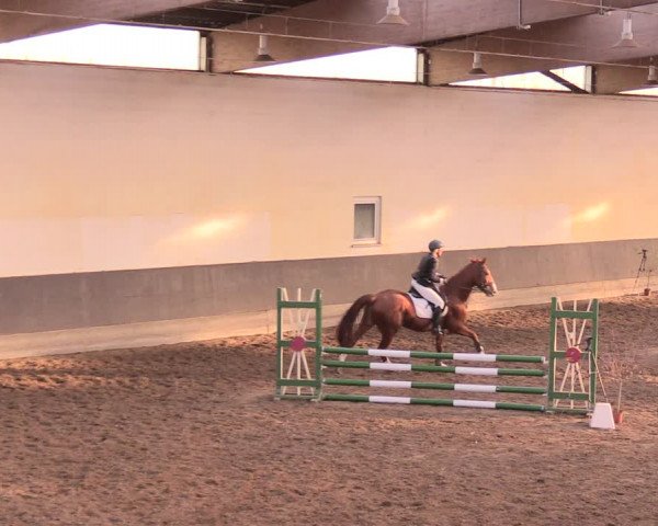 Reitturnier Dallgow 2019