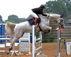 broodmare Cassgardia (Hanoverian, 2007, from Cassus 2)