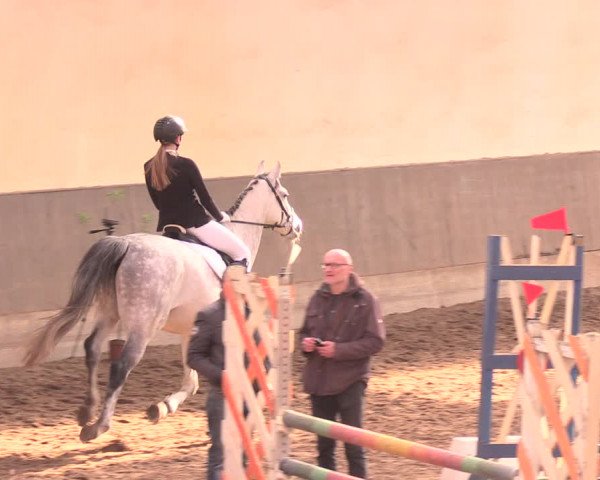 Reitturnier Dallgow 2019
