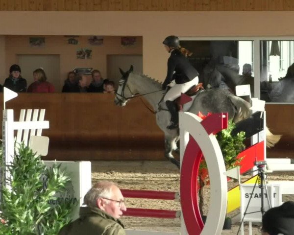 Reitturnier Dettingen 2019