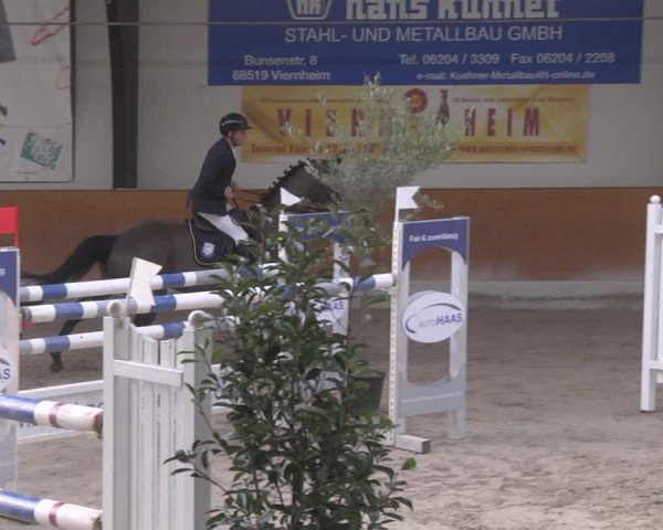 Reitturnier Viernheim 2019