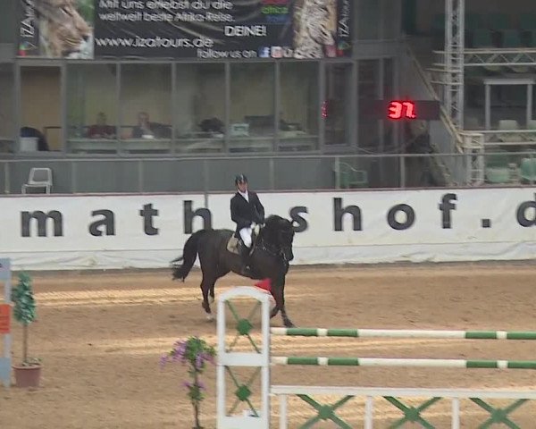 Reitturnier Kreuth/Opf. 2019