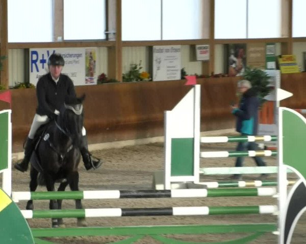 Reitturnier Dettingen 2019