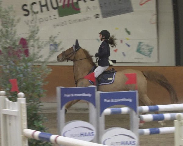 Reitturnier Viernheim 2019