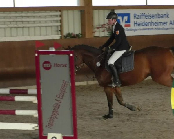 Reitturnier Dettingen 2019