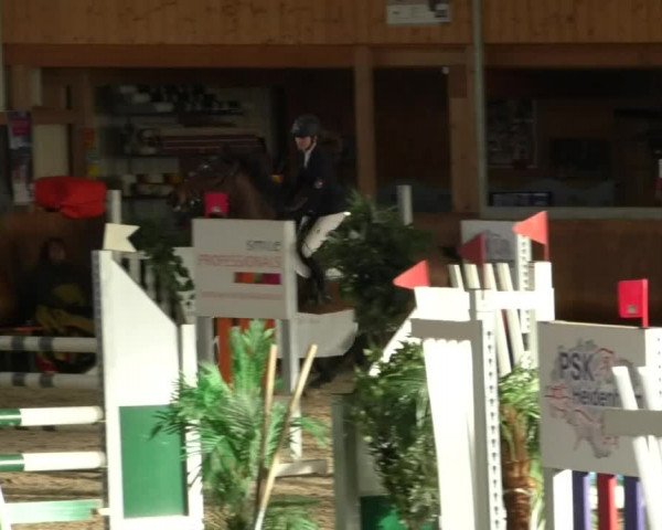 Reitturnier Dettingen 2019