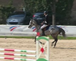 jumper Urbino Manciais (Selle Français, 2008, from Opium de Talma)