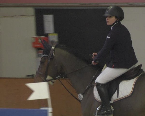 Reitturnier Viernheim 2019