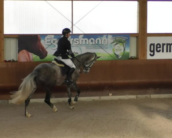 Reitturnier Dettingen 2019