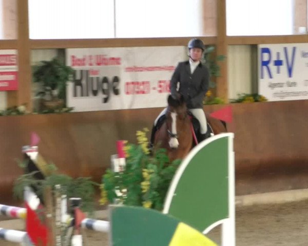 Reitturnier Dettingen 2019