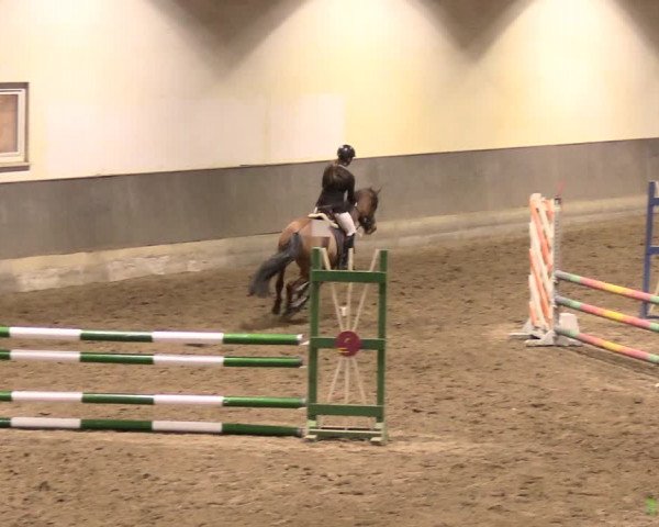 Reitturnier Dallgow 2019