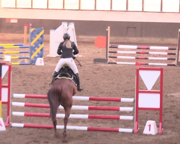 Reitturnier Dallgow 2019