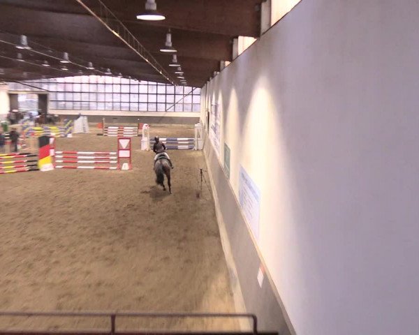Reitturnier Dallgow 2019