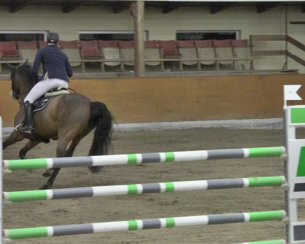 Reitturnier Viernheim 2019