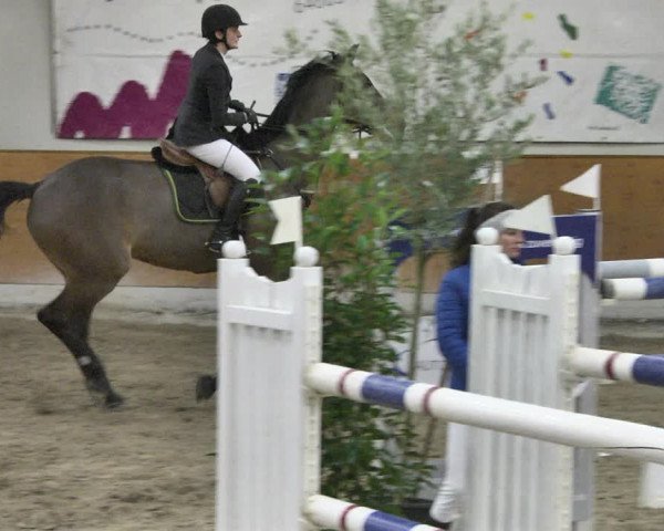 Reitturnier Viernheim 2019