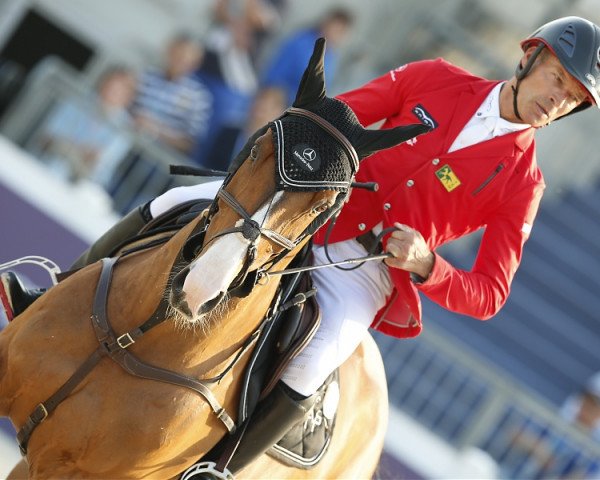 jumper Tarioso Manciais (Selle Français, 2007, from Arioso du Theillet)