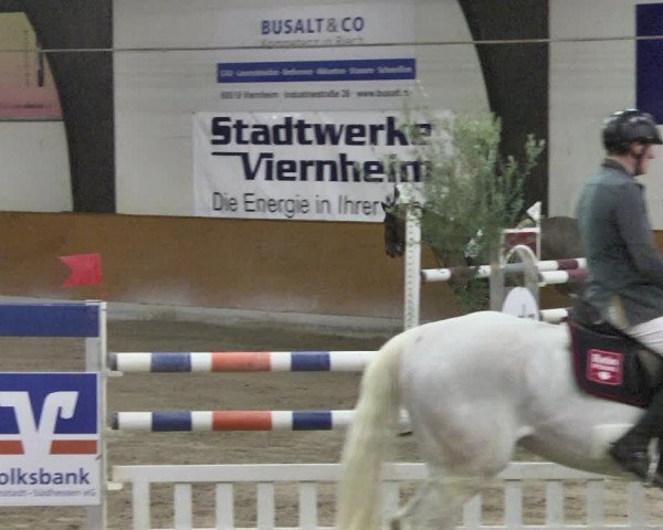 Reitturnier Viernheim 2019
