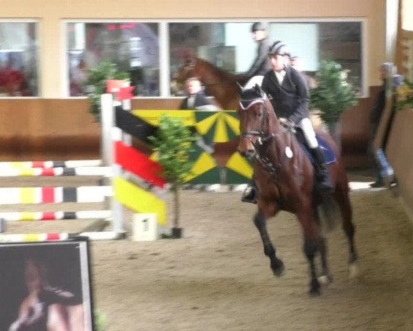 Reitturnier Dettingen 2019