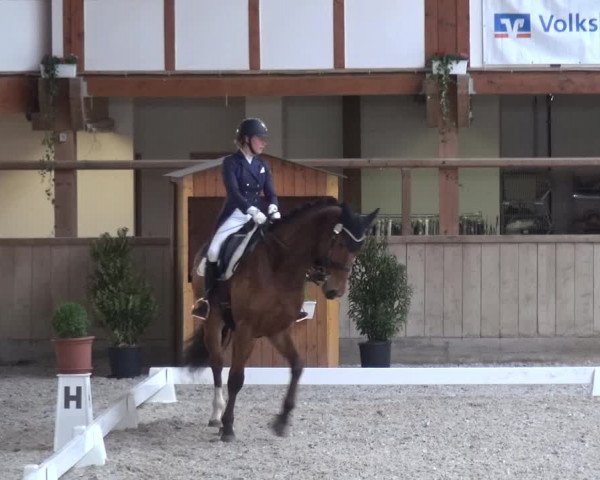 Reitturnier Heidelberg-Kirchheim 2019