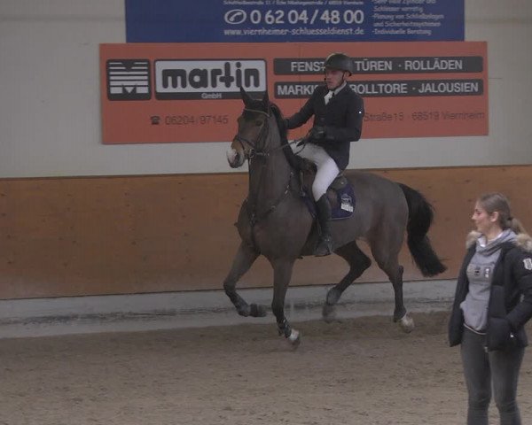 Reitturnier Viernheim 2019