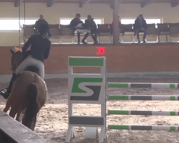 Reitturnier Viernheim 2019