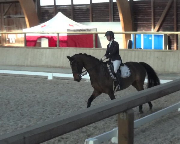 Reitturnier Heidelberg-Kirchheim 2019