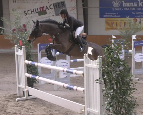 Reitturnier Viernheim 2019