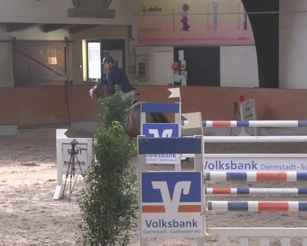 Reitturnier Viernheim 2019