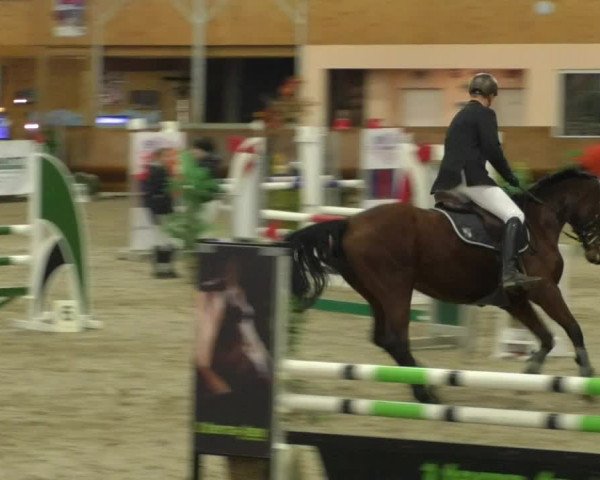Reitturnier Dettingen 2019