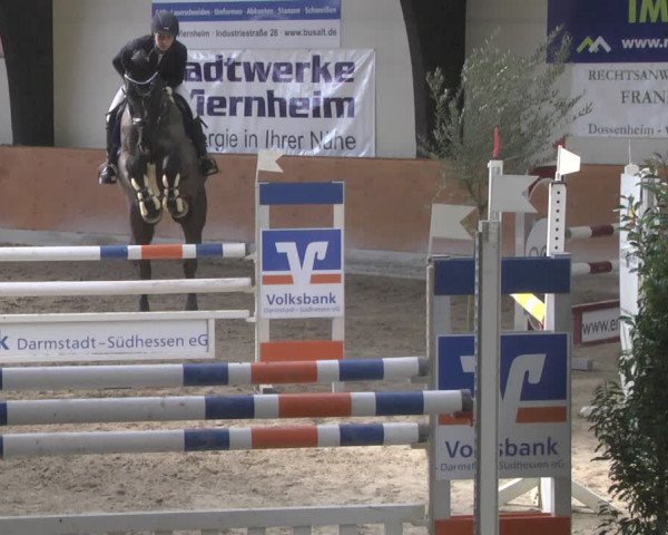 Reitturnier Viernheim 2019