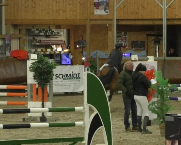 Reitturnier Dettingen 2019