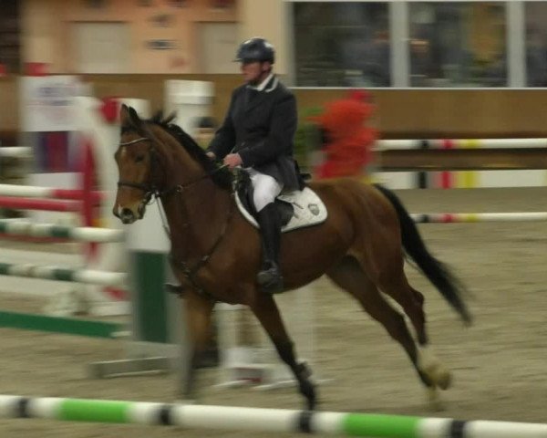 Reitturnier Dettingen 2019