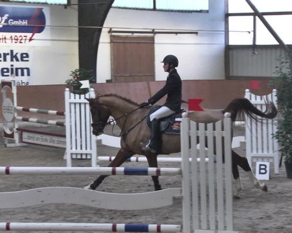 Reitturnier Viernheim 2019