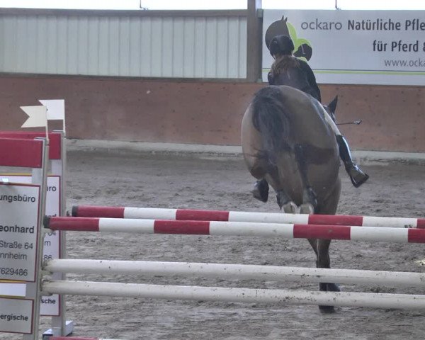 Reitturnier Viernheim 2019