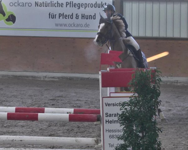 Reitturnier Viernheim 2019