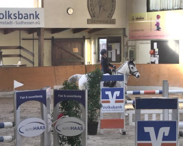 Reitturnier Viernheim 2019