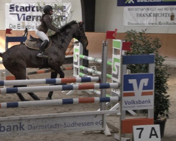 Reitturnier Viernheim 2019