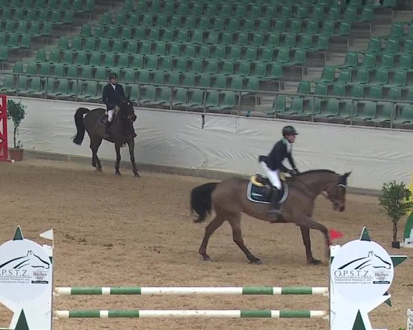 Reitturnier Kreuth/Opf. 2019